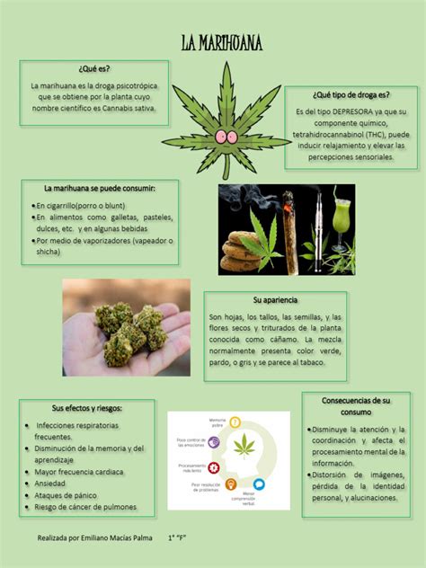 infografía sobre los efectos de la marihuana en adolescentes