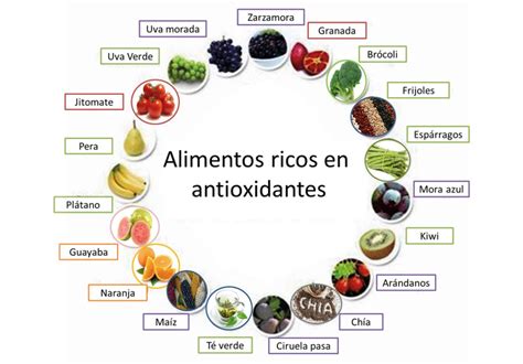 Esquema sobre la función de los antioxidantes en la conservación de alimentos procesados.
