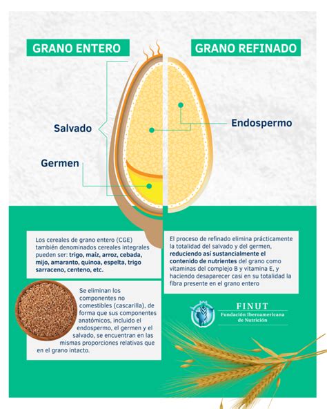 Esquema comparativo de granos refinados versus granos integrales