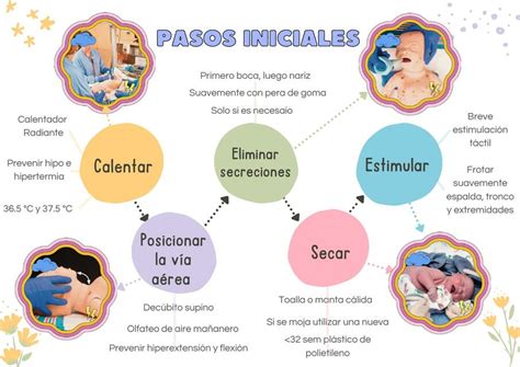 Infografía o esquema mostrando los pasos iniciales de preparación: horno precalentado, fuente y bandeja preparadas, palomitas y cacahuetes.