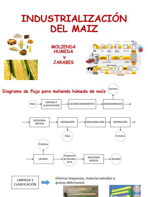 Infografía que muestra el proceso de industrialización del maíz, desde el pilón tradicional hasta la harina precocida moderna.