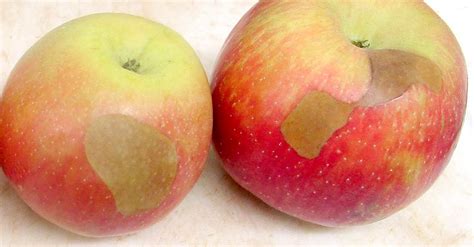 Manzana Honeycrisp con síntomas de escaldado blando: manchas marrones hundidas en la piel