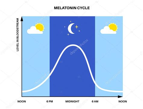 Gráfico que ilustra el ciclo circadiano de secreción de melatonina en relación con la luz y la oscuridad.