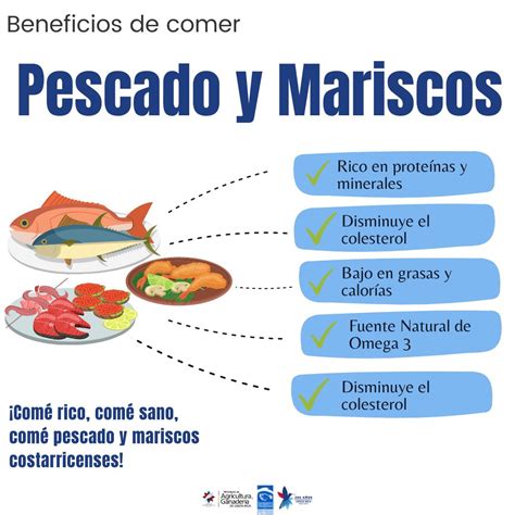 Infografía sobre los beneficios nutricionales de los pescados y mariscos chilenos.