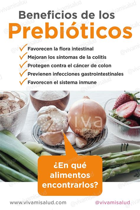 Infografía detallando los beneficios de los prebióticos y su efecto en la microbiota intestinal