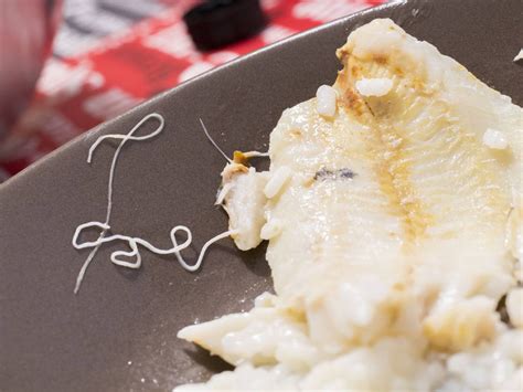 Esquema de los principales riesgos microbiológicos en el pescado crudo: Anisakis, Vibrio y Campylobacter