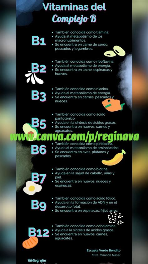 Infografía nutricional sobre el aporte de vitaminas del complejo B, zinc y proteínas del pollo en la dieta diaria.