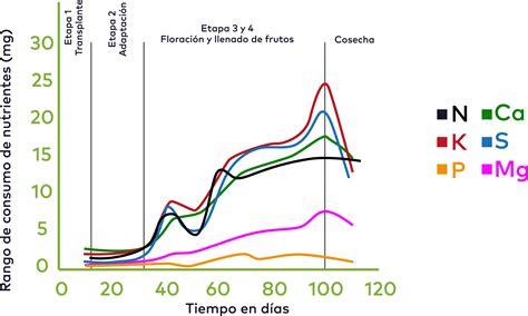 Gráfico comparativo de la absorción de calcio de diferentes alimentos.