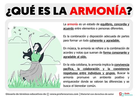 infografía sobre la importancia de la armonía entre croquetas y guarniciones