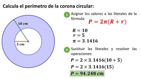 Diagrama mostrando el cuerpo ovalado, la corona circular y las hojas triangulares de una piña.