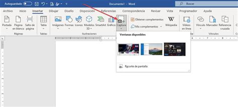 Captura de pantalla mostrando la opción de descarga de logo en formato PNG con fondo transparente.