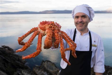 Montaje de productos patagónicos: cordero, calafate y centolla.