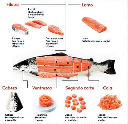 Diagrama de los cortes de salmón para diferentes tipos de sushi