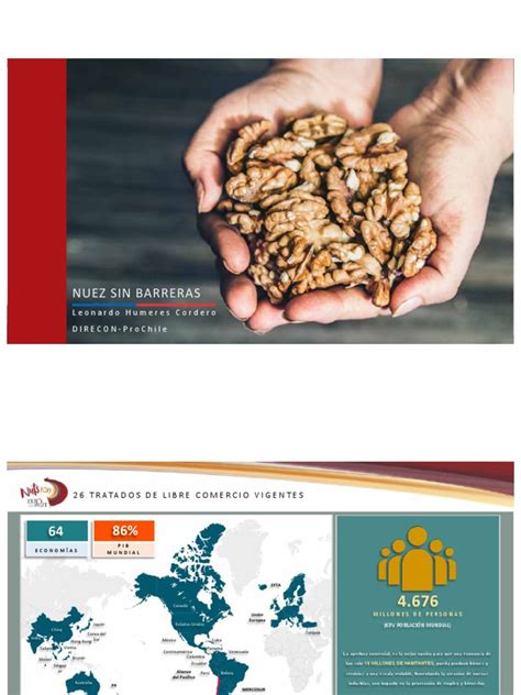 Infografía: Crecimiento de la exportación de nueces chilenas