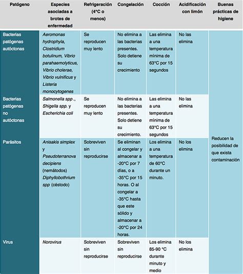 Infografía sobre los principales patógenos bacterianos en mariscos y sus efectos en la salud humana.