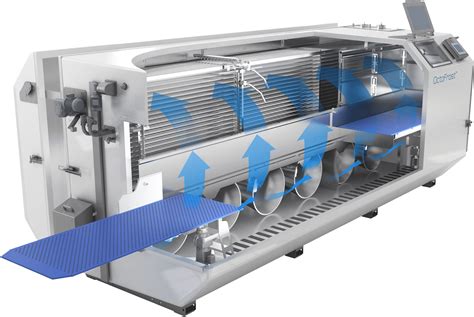 Diagrama que ilustra el proceso de congelación IQF para camarones.