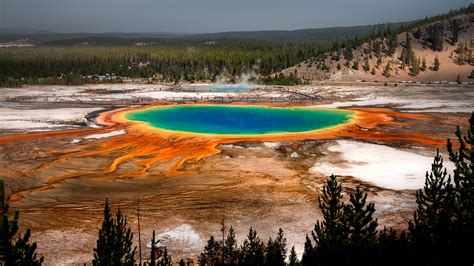 El Parque Nacional de Yellowstone, destacando la Gran Fuente Prismática como ejemplo de entornos con aguas ricas en compuestos orgánicos.