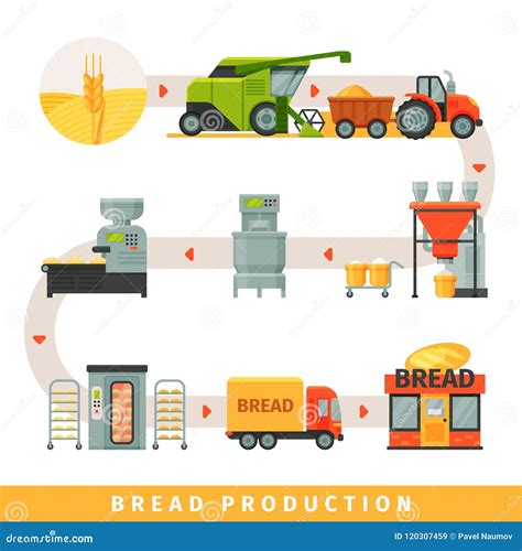 Proceso de elaboración del gofio, desde el cereal hasta el producto final.