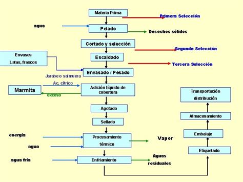 diagrama del proceso de escaldado de verduras para congelación