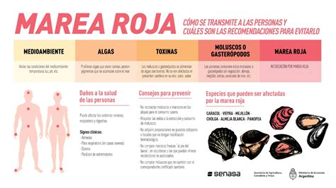 Infografía que ilustra los síntomas de la intoxicación paralítica por marea roja, como hormigueo y dificultad para respirar.