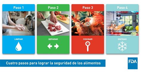 Infografía con pasos clave para la manipulación segura de mariscos, incluyendo lavado, cocción y refrigeración.