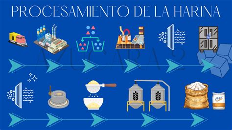 Diagrama que compara los procesos de obtención de harina, hidrolizado y ensilaje a partir de residuos de camarón.