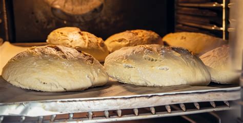 Un horno de pan casero en funcionamiento, mostrando la preparación de una hogaza
