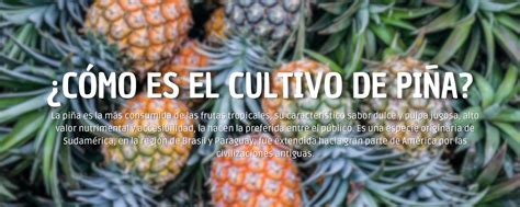infografía explicando la evolución del significado de 
