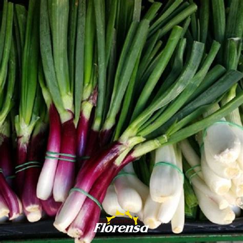 Imagen de ingredientes frescos: mandioca, cebolla de verdeo, tomates y pollo desmechado