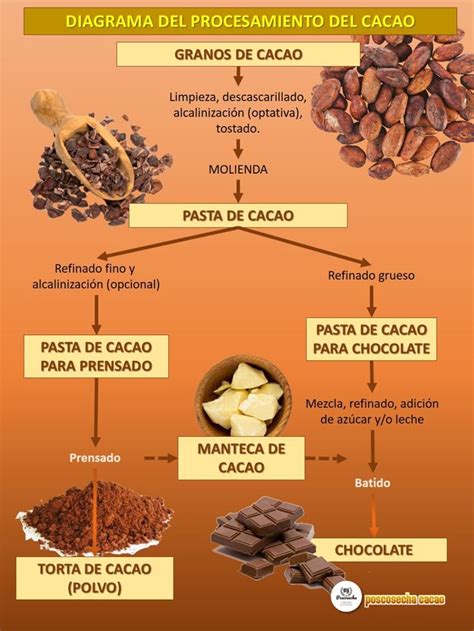 Diagrama que ilustra las diferentes etapas del proceso de producción de chocolate y su respectivo consumo de agua.