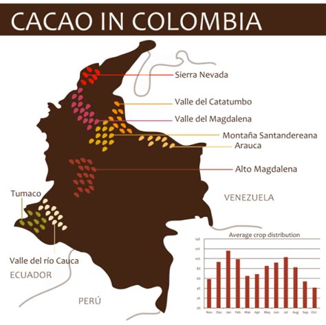 Mapa de Colombia destacando las principales regiones productoras de cacao.