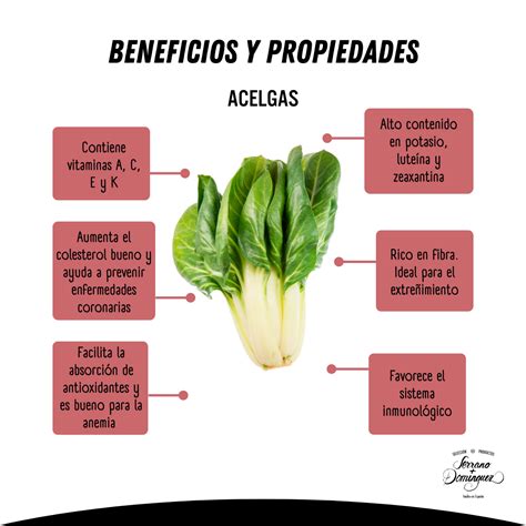 Infografía destacando los nutrientes y vitaminas presentes en las acelgas.