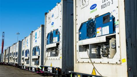 Foto: Contenedores refrigerados de salmón en un puerto de exportación