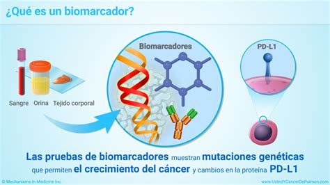 Gráfico que muestra la disminución de biomarcadores inflamatorios (PCR-us y TNF-alfa) tras el consumo de sofrito.