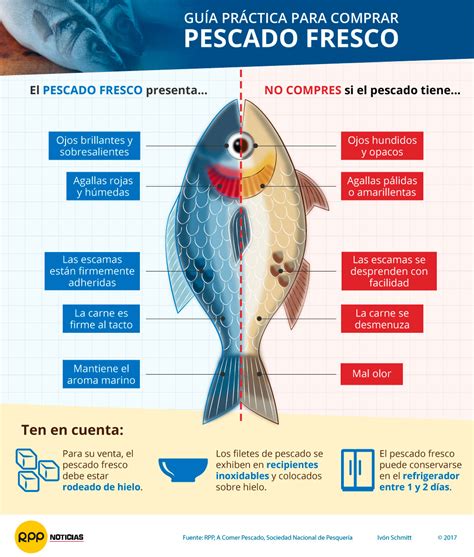 Infografía: Tipos de pescado ideales para freír