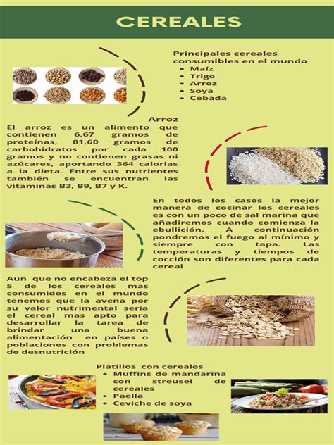 Infografía comparativa de los principales cereales consumidos a nivel mundial.