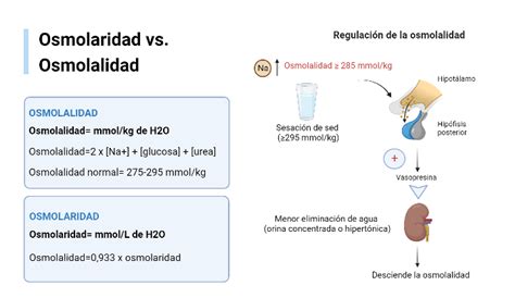 Diagrama explicando la diferencia entre osmolalidad y osmolaridad