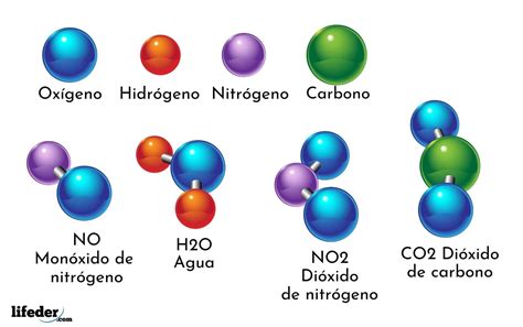 representación visual de los componentes químicos que dan aroma a las flores