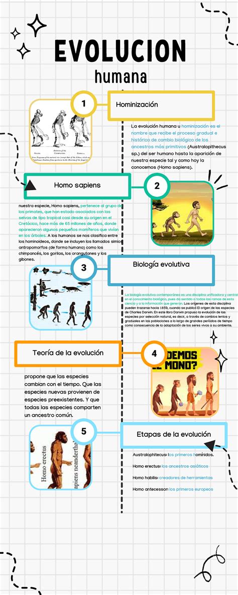 Infografía mostrando la evolución del meme 