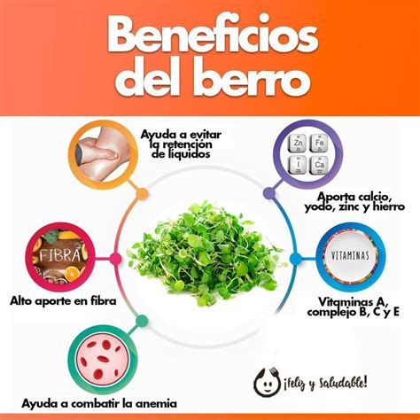 Infografía sobre los beneficios nutricionales del berro
