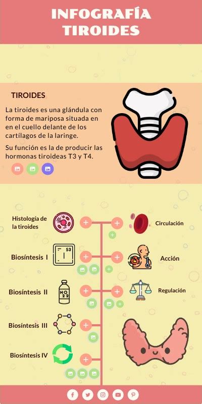 infografía sobre la glándula tiroides y su relación con el yodo