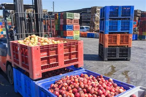 Camión frigorífico transportando cajas de frutas y verduras