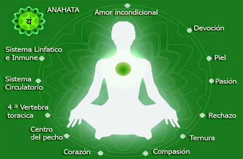 Representación visual del Chakra 4 (Anahata) y su conexión con el corazón y el amor.