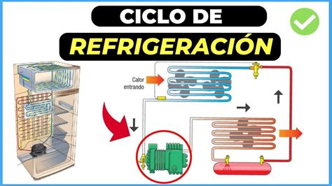 Esquema básico de una heladera: funcionamiento del bol congelador y palas de mantecado
