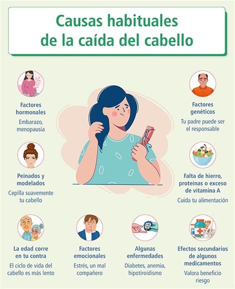 Esquema sobre las causas comunes de la caída del cabello: estrés, nutrición, genética y factores externos.