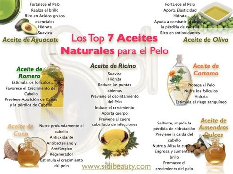 Infografía comparativa de las propiedades de los aceites naturales para el cabello.