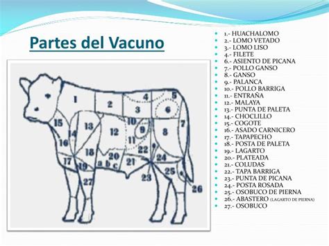 Esquema de las partes del vacuno destacando la ubicación del lomo liso