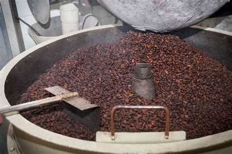 Granos de cacao siendo tostados en un tambor giratorio