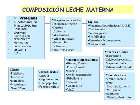 Diagrama de la composición nutricional de la leche materna.
