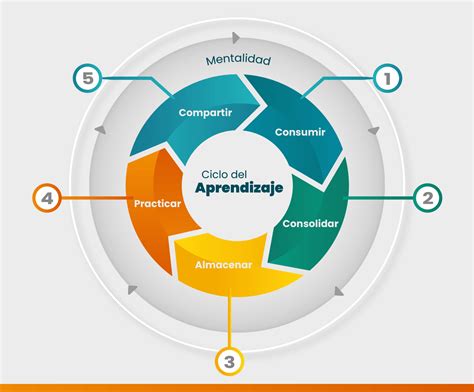 Infografía que detalla el ciclo de colaboración entre Carabineros, voluntarios y centros hospitalarios